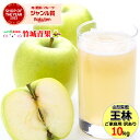 【10月下旬から順次出荷予定】山形県産 ご家庭用 青りんご 王林 10kg(22～46玉入り/生食可)※日時指定はメールで※【おうりん オウリン リンゴ 林檎 訳あり わけあり 自宅用 家庭用 果物 フルーツ 人気 売れ筋 山形県 送料無料 秋の味覚 冬の味覚】