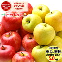 【出荷中】山形県産 訳あり りんご ふじ＆王林 詰め合わせ 5kg(ご家庭用/13～22玉入り)※日時指定はメールで※【リンゴ 林檎 訳あり わけあり 自宅用 家庭用 果物 フルーツ 人気 売れ筋 山形県 送料無料 お取り寄せ 冬の味覚】