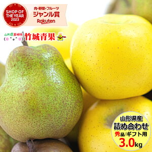 y11{珇oח\z~Mtg ~̉ʎ2Flߍ킹 3kg(Gi/7`10ʓ/VimS[hEtX)w̓[ŁyR`Y  S ь 蕨  j 