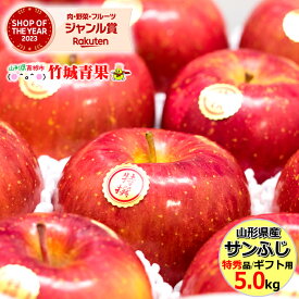 【出荷中】山形県産 りんご サンふじ 5kg(特秀品/13～18玉入り)※日時指定はメールで※【リンゴ 林檎 山形県 山形県産 蜜入り 贈答用 お歳暮 御年賀 贈り物 お祝 お礼 お返し お年賀 プレゼント 人気 果物 フルーツ 5キロ お取り寄せ】