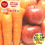 ＼5と0のつく日は店内全品ポイント10倍！／【即日発送実施中！】訳あり サンふじ＆無農薬にんじん 詰め合…