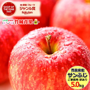 y1{珇oח\zXY 󂠂  Tӂ 5kg(ƒp/11`23/H)w̓[ŁyXY S ь apple 䙉 _  ӂ p ƒp 