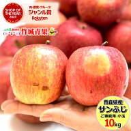 ＼5と0のつく日は店内全品ポイント10倍！／【即日発送実施中！】青森県産 訳あり りんご サンふじ(小玉) …
