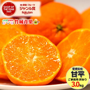 y1{珇oח\zQY 󂠂 ݂ Õ(؂) 3kg(ƒp/8`20ʓ)w̓[ŁyQY ݂ ~J  󂠂 킯 p ƒp ʕ t[