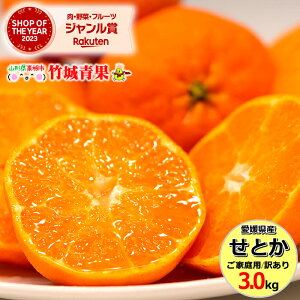 y2{珇oח\zQY 󂠂 ݂ Ƃ 3kg(ƒp/8`20ʓ)w̓[ŁyQY ݂ ~J  󂠂 킯 p ƒp ʕ t[c lC 