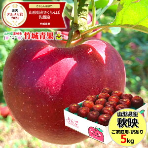 y10{珇oח\zR`Y 󂠂  Hf 5kg(ƒp/11`23ʓ/H)w̓[ŁyR`Y S ь apple 䙉 _  ӂ p ƒp 