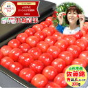 【5/4(月)〜5/10(日)日時指定OK】母の日！ぴったり！山形県産 さくらんぼ 佐藤錦(ハウス栽培/秀品/Lサイズ/手詰め/300g/化粧箱)【2026 山形県産 母の日 花以外 カーネーション ははの日 ははのひ ギフト プレゼント 早割】