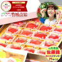 【5/4(月)〜5/10(日)日時指定OK】母の日！ぴったり！山形県産 さくらんぼ 佐藤錦 プレミアムボックス(秀品Mサイズ/24粒)【2026 山形県産 母の日 花以外 カーネーション ははの日 ははのひ ギフト プレゼント 早割】