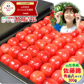 【即日発送実施中！】山形県産 さくらんぼ 佐藤錦 300g(秀品/Lサイズ/手詰め/化粧箱入り)※日時指定はメールで※【2026 お中元 夏 プレゼント 果物 フルーツ ギフト 贈り物 贈答品 人気 売れ筋 送料無料】