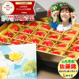 【6/15(月)～6/21(日)日時指定OK】父の日！ぴったり！山形県産 さくらんぼ 佐藤錦 プレミアムボックス(秀品/Lサイズ/24粒) 【2026 山形県産 父の日 ちちの日 ちちのひ ギフト 贈り物 贈答品 プレゼント 果物 フルーツ 人気 送料無料 早割】