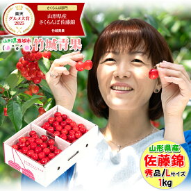 【即日発送実施中！】山形県産 さくらんぼ 佐藤錦(露地/秀品/Lサイズ/1kg/ばら詰め)※日時指定はメールで※【2026 お中元 暑中見舞い 残暑見舞い 夏 プレゼント 果物 フルーツ ギフト 贈り物 贈答品 人気 売れ筋 早割】