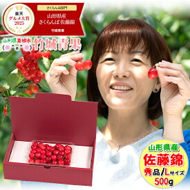 【即日発送実施中！】山形県産 さくらんぼ 佐藤錦(露地/秀品/Lサイズ/500g/ばら詰め)※日時指定はメールで※【2026 お中元 暑中見舞い 残暑見舞い 夏 プレゼント 果物 フルーツ ギフト 贈り物 贈答品 人気 売れ筋 早割】