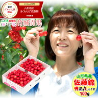 【6月中旬から順次出荷予定/日時指定可】山形県産 さくらんぼ 佐藤錦(露地/秀品/Lサイズ/700g/ばら詰め)…