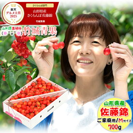 【6月中旬から順次出荷予定/日時指定可】山形県産 ご家庭用 さくらんぼ 佐藤錦(露地/Mサイズ/700g/ばら詰め)※日時指定はメールで※【2026 露地 露地物 訳あり わけあり サクランボ 果物 フルーツ 人気 売れ筋 山形県 自宅用 早割】