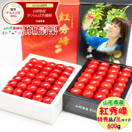■クール便出荷【即日発送実施中！】山形県産 さくらんぼ 紅秀峰(露地/特秀品/3Lサイズ/手詰め/600g/化粧…