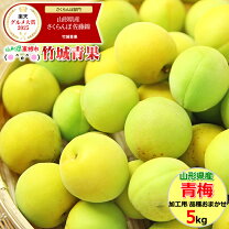 楽天市場】青梅5キロ 訳あり（食品）の通販