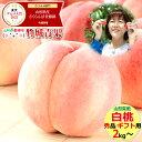 【7月下旬から順次出荷予定】山形県産 もも 白桃 2kg(秀品/無袋栽培/5〜9玉/保護キャップ仕様)※日時指定はメールで※…