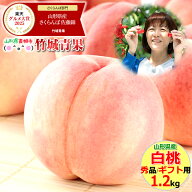 【7月下旬から順次出荷予定】山形県産 もも 白桃 1.2kg(秀品/無袋栽培/3〜6玉/保護キャップ仕様)※日時指…
