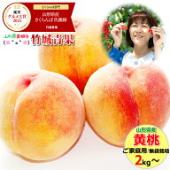 【順次出荷中！】山形県産 ご家庭用 もも 黄桃 無袋栽培 2kg〜 ※日時指定はメールで※【山形産 もも モ…