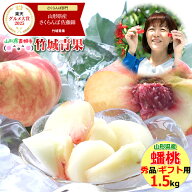 ■クール便【8月上旬から順次出荷予定】山形県産 もも 蟠桃(ばんとう) 1.5kg(秀品/6〜15玉)【山形産 もも…