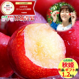 【順次出荷中！】山形県産 すもも 秋姫 1.2kg(秀品/5〜12玉前後)※日時指定はメールで※【山形産 スモモ あきひめ プラム 高級プラム 御中元 お中元 夏 ギフト 送料無料 暑中見舞い 残暑見舞い プレゼント 果物 フルーツ 人気 産地直送 お取り寄せ】