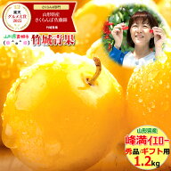 【9月中旬から順次出荷予定】山形県産 すもも 峰満イエロー 1.2kg(秀品/6〜10玉前後)※日時指定はメール…