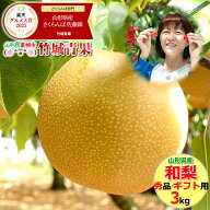 【9月上旬から順次出荷予定】山形県産 なし 和梨 3kg(幸水or豊水/秀品/6〜12玉)※日時指定はメールで※【…