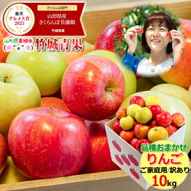 【順次出荷中！】産地厳選 品種おまかせりんご 10kg(ご家庭用/22～60玉入り/生食可)【山形県産 青森県産 リンゴ 林檎 apple 苹果 蘋果 蜜入り 自宅用 家庭用 果物 フルーツ 人気 売れ筋 秋の味覚 冬の味覚 さんふじ 10キロ わけあり 訳あり おうち用】