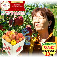 【即日発送実施中！】産地厳選 加工用 品種おまかせりんご 10kg(ご家庭用/22〜60玉入り)【山形県産 青森…