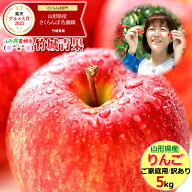 【即日発送実施中！】山形県産 訳あり りんご サンふじ 5kg(ご家庭用/11〜23玉入り/生食可)※日時指定は…