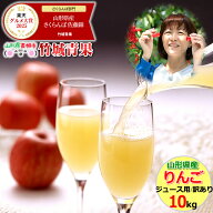 【8月下旬から順次出荷予定】山形県産 訳あり りんご サンふじ 10kg(ご家庭用/22〜46玉入り/ジュース・ス…