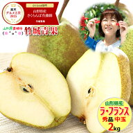 【10月下旬から順次出荷予定】山形県産 洋梨 ラ・フランス 2kg(秀品/中玉/6〜9玉入り)※日時指定はメール…