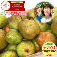【10月下旬から順次出荷予定】山形県産 訳あり 洋梨 ラ・フランス 5kg(ご家庭用/玉数おまかせ)※日時指定…