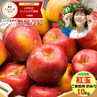 【10月上旬から順次出荷予定】山形県産 ご家庭用 りんご 紅玉(こうぎょく) 10kg(28〜60玉入り/生食可/加…