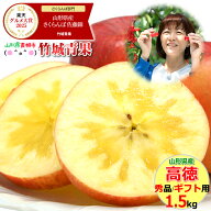 【11月上旬から順次出荷予定】山形県産 蜜入り りんご 高徳(こうとく) 1.5kg(5〜12玉入り)※日時指定はメ…