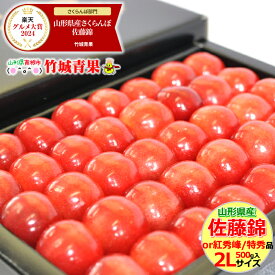 ★クール便出荷★ 山形県産 さくらんぼ 佐藤錦or紅秀峰(露地/特秀品/2Lサイズ/手詰め/500g/化粧箱)※日時指定はメールで※【2025 お中元 暑中見舞い 残暑見舞い 夏 プレゼント 果物 フルーツ ギフト 贈り物 贈答品 人気 売れ筋】