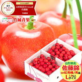 ＼★大感謝祭!!20%OFFクーポン配布中★／クール便出荷！ 即日発送実施中！ 山形県産 さくらんぼ 佐藤錦or紅秀峰(露地/秀品/Lサイズ/1kg/ばら詰め)※日時指定はメールで※【2025 お中元 暑中見舞い 夏 プレゼント 果物 フルーツ ギフト 贈り物 贈答品 人気 売れ筋】