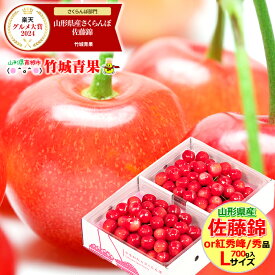 ＼★大感謝祭!!20%OFFクーポン配布中★／クール便出荷！ 山形県産 さくらんぼ 佐藤錦or紅秀峰(露地/秀品/Lサイズ/700g/ばら詰め)※日時指定はメールで※【2025 お中元 暑中見舞い 残暑見舞い 夏 プレゼント 果物 フルーツ ギフト 贈り物 贈答品 人気 売れ筋】
