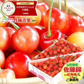 ＼★大感謝祭!!20%OFFクーポン配布中★／クール便出荷！ 即日発送実施中！ 山形県産 ご家庭用 さくらんぼ 佐藤錦or紅秀峰(露地/Lサイズ/1kg/ばら詰め)※日時指定はメールで※【露地 露地物 訳あり わけあり サクランボ 果物 フルーツ 人気 売れ筋 山形県 自宅用】