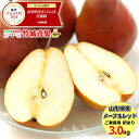 【10月上旬から順次出荷予定】山形県産 ご家庭用 洋梨 メープルレッド 3kg(6〜15玉入り)※日時指定はメールで※【山形…