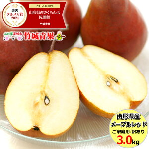 y10{珇oח\zR`Y ƒp m [vbh 3kg(6`15ʓ)w̓[ŁyR`Y Yn   mȂ miV m  ʕ t[