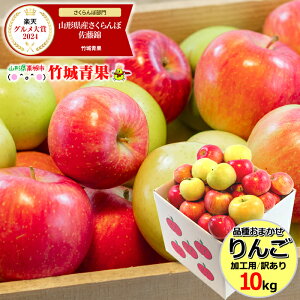 y10{珇oח\zYnI Hp i킨܂ 10kg(ƒp/22`60ʓ)yR`Y XY S ь apple 䙉 _  ӂ p ƒp ʕ t[c 