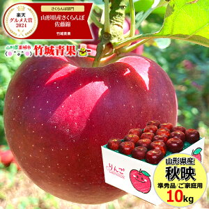 y10{珇oח\zR`Y 󂠂  Hf 10kg(ƒp/Gi/26`46/H)w̓[ŁyR`Y XY S ь apple 䙉 _  p ƒ