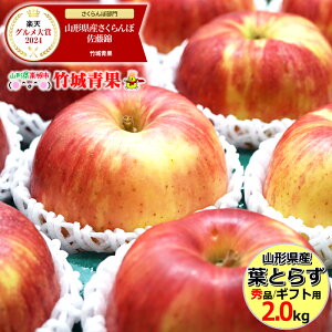 【11月上旬から順次出荷予定】山形県産 りんご 葉とらずりんご 2kg(秀品/6〜8玉入り)※日時指定はメールで※【山形県産 リンゴ サンふじ 葉とらずふじ 葉とらずサンふじ ギフト 贈り物 贈答