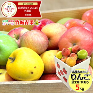 【即日発送実施中!】産地厳選 加工用 品種おまかせりんご 5kg(ご家庭用/11〜30玉入り)【山形県産 青森県産 リンゴ 林檎 apple 苹果 蘋果 蜜入り さんふじ 自宅用 家庭用 果物 フルーツ 人気 売