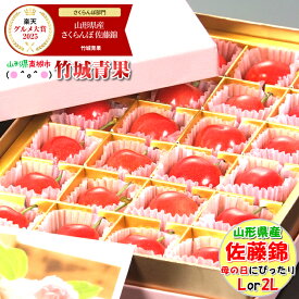 ＼★☆★楽天グルメ大賞2025受賞★☆★／【5/4(月)〜5/10(日)日時指定OK】母の日！ぴったり！山形県産 さくらんぼ 佐藤錦 プレミアムボックス(秀品/L・2Lサイズ/24粒)【2026 山形県産 母の日 花以外 カーネーション ははの日 ははのひ ギフト プレゼント 早割】