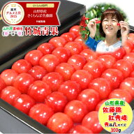■クール便出荷【順次出荷中！】山形県産 さくらんぼ 佐藤錦or紅秀峰 300g(秀品/Lサイズ/手詰め/化粧箱入…