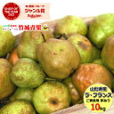 【10月下旬から順次出荷予定】山形県産 訳あり 洋梨 ラ・フランス 10kg(ご家庭用/玉数おまかせ)※日時指定はメールで…
