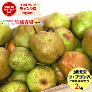 y10{珇oח\zR`Y 󂠂 m EtX 2kg(ƒp/ʐ܂)w̓[Łym tX p ƒp ʕ t[c lC  