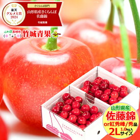 ＼★大感謝祭!!20%OFFクーポン配布中★／クール便出荷！ 山形県産 さくらんぼ 佐藤錦or紅秀峰(露地/秀品/2Lサイズ/1kg/ばら詰め)※日時指定はメールで※【2025 お中元 暑中見舞い 残暑見舞い 夏 プレゼント 果物 フルーツ ギフト 贈り物 贈答品 人気 売れ筋】